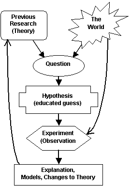 Theory->Hypothesis->Observation->Theory...